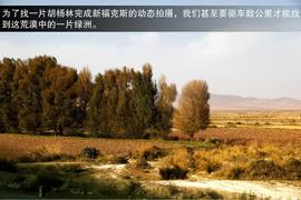 2013款福特新福克斯2.0L嘉峪关绿色能源之旅试驾