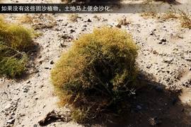 2013款福特新福克斯2.0L嘉峪关绿色能源之旅试驾