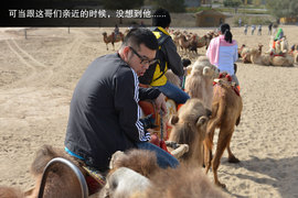 胡杨林/月牙泉/雅丹地质公园　景逸X5西部行