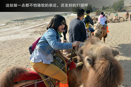 胡杨林/月牙泉/雅丹地质公园　景逸X5西部行