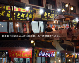 胡杨林/月牙泉/雅丹地质公园　景逸X5西部行