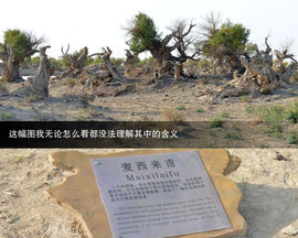 胡杨林/月牙泉/雅丹地质公园　景逸X5西部行