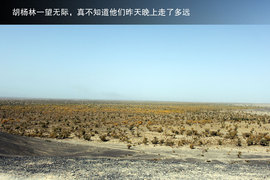 胡杨林/月牙泉/雅丹地质公园　景逸X5西部行