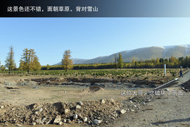 胡杨林/月牙泉/雅丹地质公园　景逸X5西部行