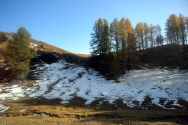 胡杨林/月牙泉/雅丹地质公园　景逸X5西部行