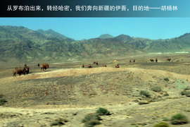 胡杨林/月牙泉/雅丹地质公园　景逸X5西部行