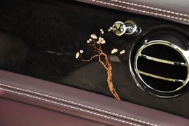 2014款宾利慕尚四季臻藏版-冬