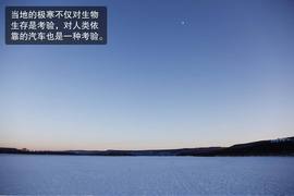 2014款全新爱丽舍1.6L手自一体豪华型漠河冰雪试驾