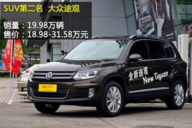 2013年度各级别车型销量盘点