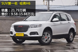 2013年度各级别车型销量盘点