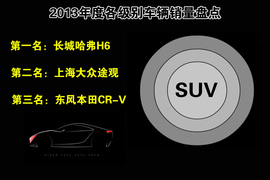 2013年度各级别车型销量盘点