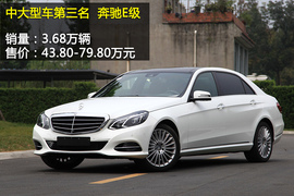 2013年度各级别车型销量盘点