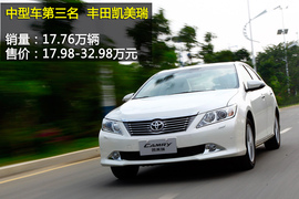 2013年度各级别车型销量盘点