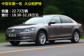 2013年度各级别车型销量盘点