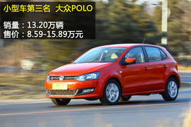 2013年度各级别车型销量盘点