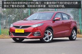 年底红色车导购