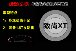 年底红色车导购