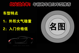 年底红色车导购