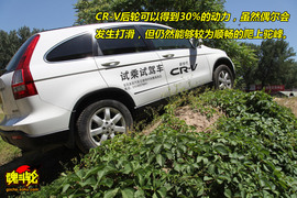 CRV越野测试