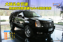2009款凯迪拉克凯雷德Hybrid