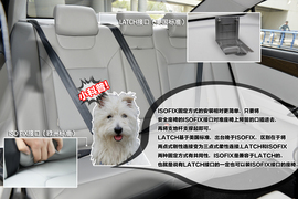 2014款和悦1.5手动本地评测