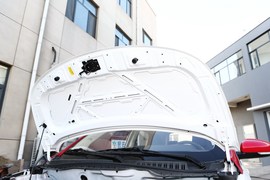 2018款电咖EV10