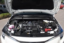 2019款丰田雷凌双擎