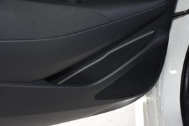 2019款丰田雷凌双擎