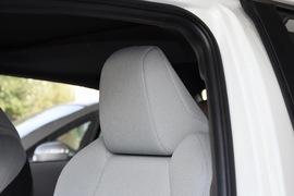 2019款丰田雷凌双擎