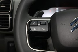 2020款雪铁龙天逸