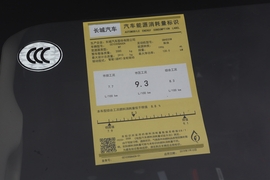 2019款长城炮