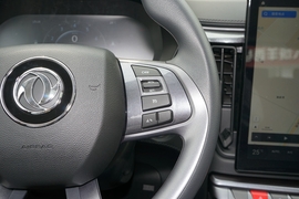 2020款东风风行T5