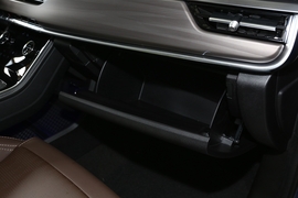 2020款奇瑞瑞虎8