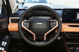   2021款 哈弗初恋 1.5T 自动大三版