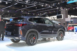 星途LX凡尔赛版