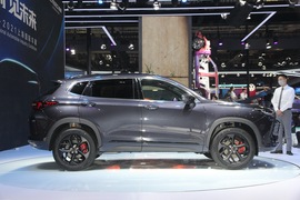 星途LX凡尔赛版