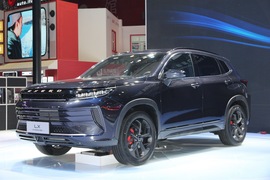 星途LX凡尔赛版