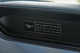 2020款福特Mustang