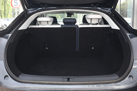 2021款极狐阿尔法S