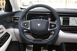 2021款极狐阿尔法S