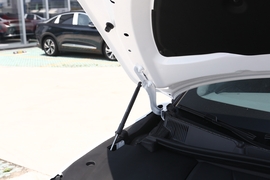 2021款极狐阿尔法S