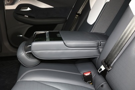 2021款极狐阿尔法S