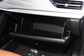 2021款奇瑞瑞虎8