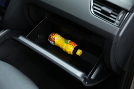 2021款斯柯达明锐