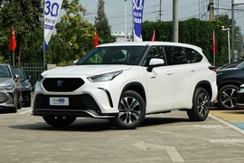   2021款丰田皇冠陆放 2.5L HEV两驱精英版