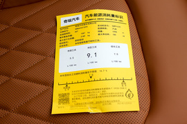2022款奇瑞瑞虎8
