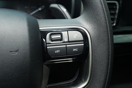 2021款雪铁龙天逸