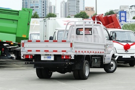   2021款长安跨越王X5 2.0L CNG标准版单排双后轮厢式 货箱