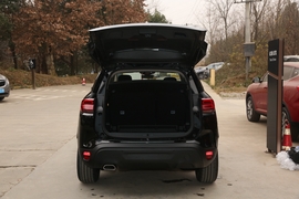 2021款雪铁龙天逸