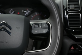 2021款雪铁龙天逸